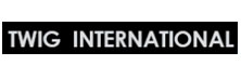 Twig International: Strategizing Pharma Data Analytics